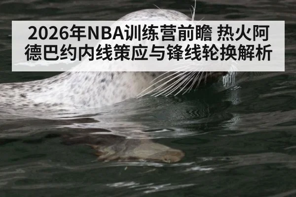 2026年NBA训练营前瞻 热火阿德巴约内线策应与锋线轮换解析